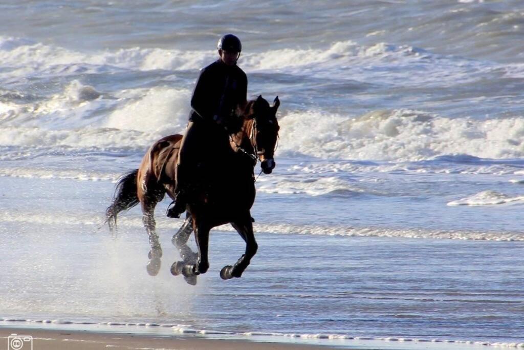 Beachtime Close To The Beach, City Centre Zandvoort Extérieur photo